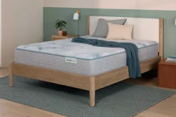 BeautySleep Dream Weaver Plush Tight Top Mattress 13.75