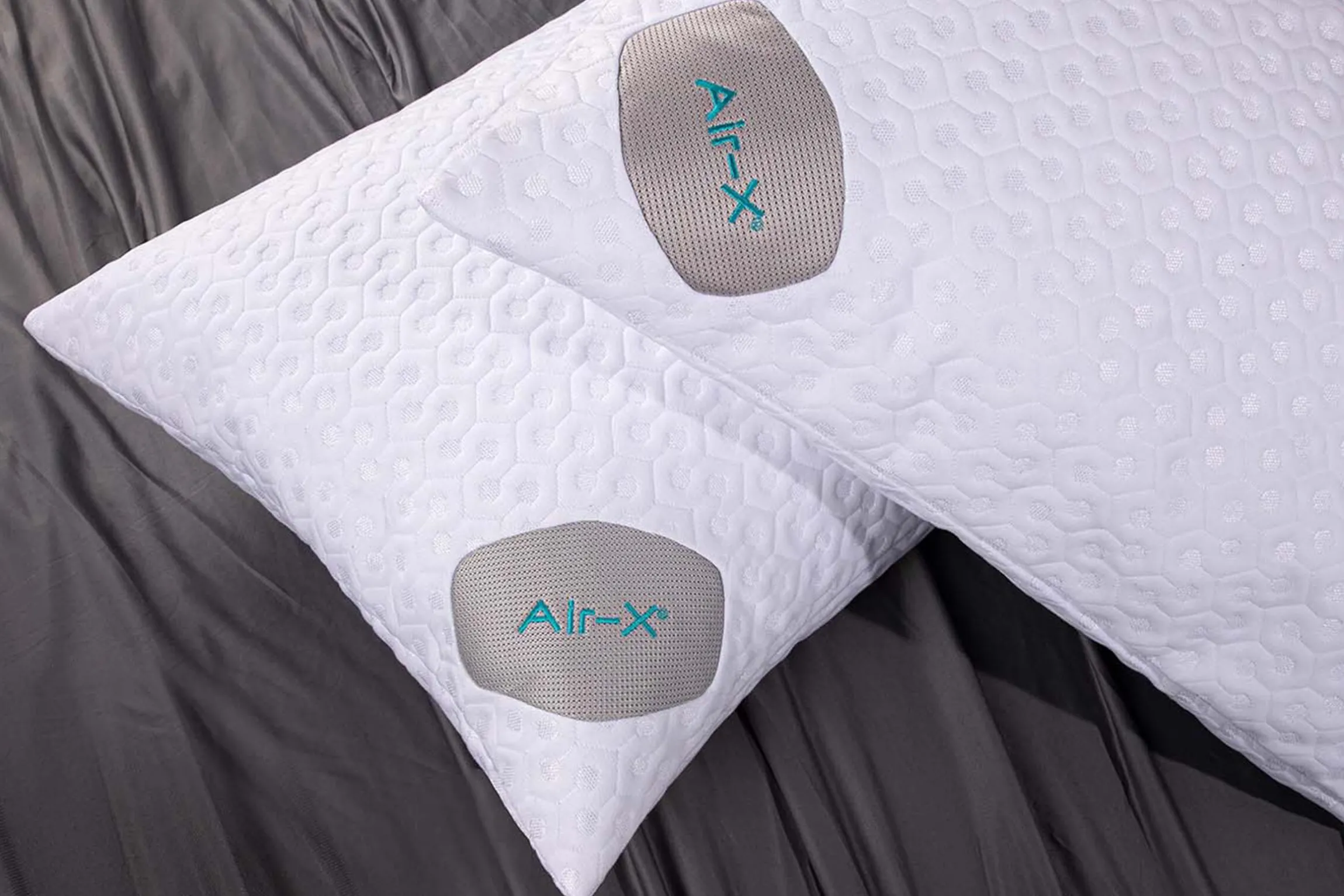 BEDGEAR Dri-Tec 5.0 Air-X Pillow Protector