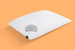 BEDGEAR Dri-Tec 5.0 Air-X Pillow Protector