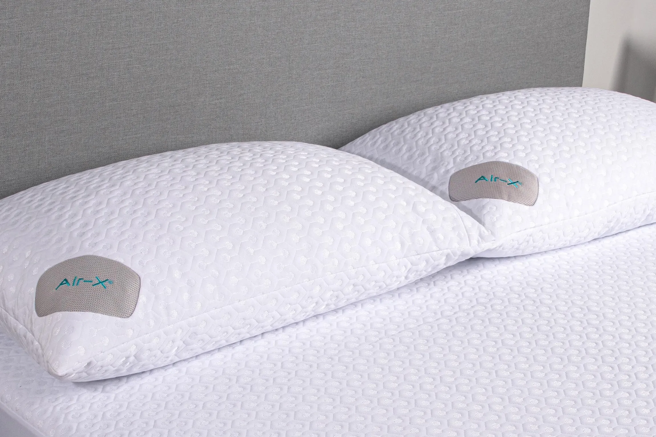BEDGEAR Dri-Tec 5.0 Air-X Pillow Protector