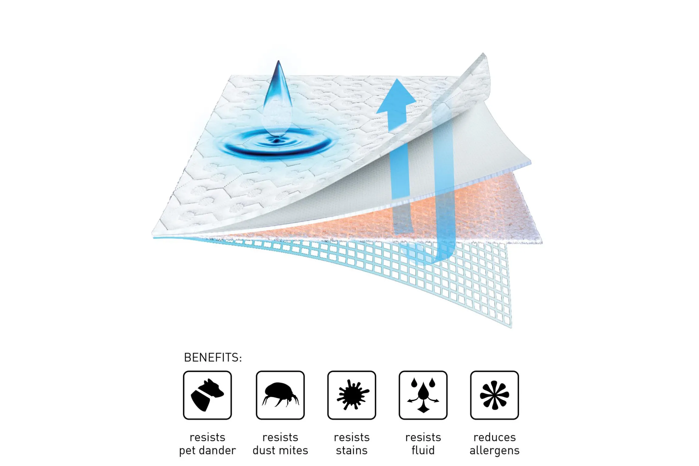 BEDGEAR Dri-Tec Mattress Protector