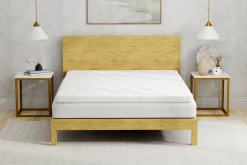 BED-TECH 3 Inch Gel Memory Foam Topper with Cover