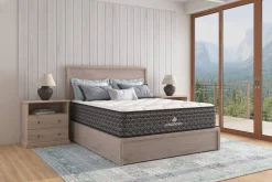 Kingsdown Gingerwood Cushion Firm Mattress 13