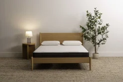 Mancini's Sleepworld Marina Firm Mattress 8"