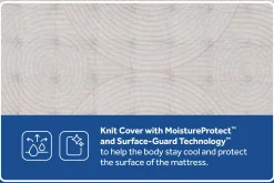 Sealy Posturepedic Truett Firm Mattress 12.5