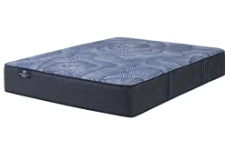 Serta Perfect Sleeper Dutch Iris Firm Mattress 12
