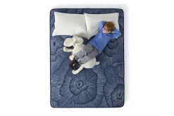 Serta Perfect Sleeper Dutch Iris Firm Mattress 12