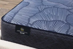 Serta Perfect Sleeper English Ivy Plush Mattress 14"