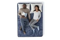 Serta Perfect Sleeper English Ivy Plush Mattress 14