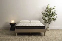 Sleepworld Express 7" Foam Medium Firm Mattress