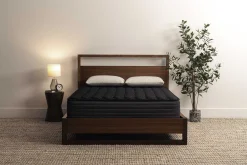 Sleepworld Express 13" Innerspring Firm Mattress
